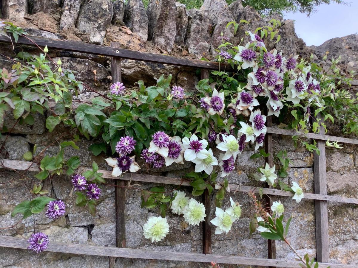 Hollyhock Cottage, Clematis Cottages, Stamford Extérieur photo