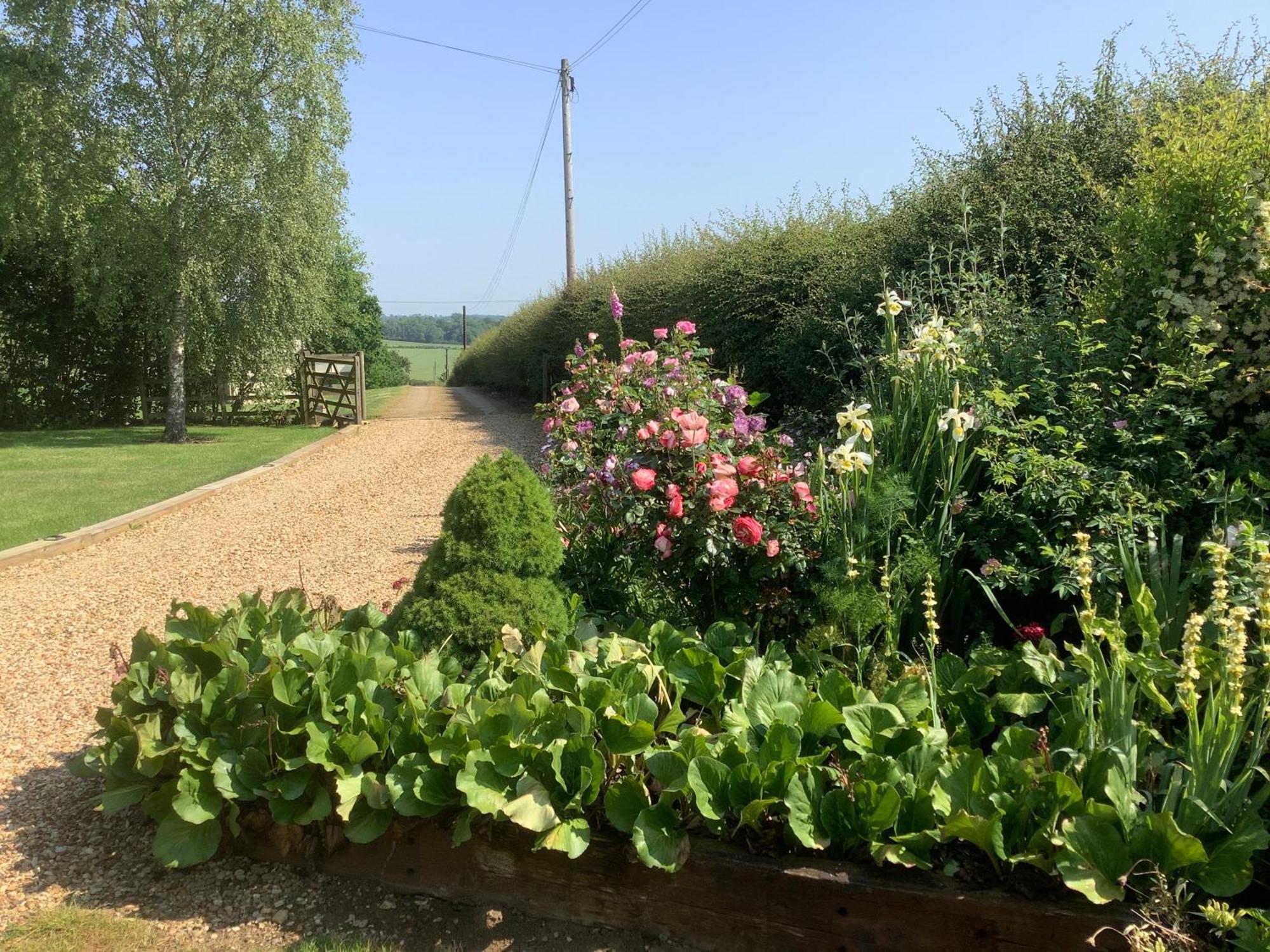 Hollyhock Cottage, Clematis Cottages, Stamford Extérieur photo